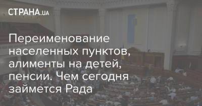 Переименование населенных пунктов, алименты на детей, пенсии. Чем сегодня займется Рада - strana.ua - Парламент