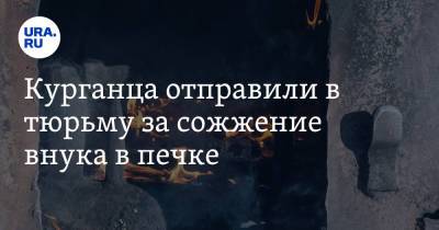 Курганца отправили в тюрьму за сожжение внука в печке. Фото - ura.news - Курганская обл. - Курган - район Мишкинский