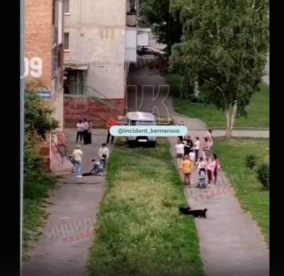 Житель Кемерово выбросил двух собак из окна пятого этажа жилого дома - runews24.ru - Кемерово