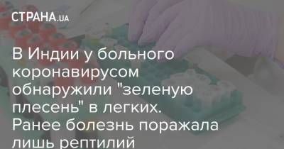 В Индии у больного коронавирусом обнаружили "зеленую плесень" в легких. Ранее болезнь поражала лишь рептилий - strana.ua - Индия