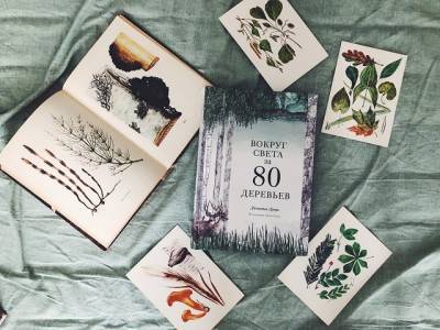 Внеклассное чтение: 16 книг на лето для детей и взрослых - u24.ru