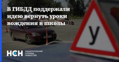 Михаил Черников - В ГИБДД поддержали идею вернуть уроки вождения в школы - nsn.fm