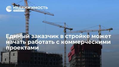 Единый заказчик в стройке может начать работать с коммерческими проектами - realty.ria.ru - Москва - Строительство