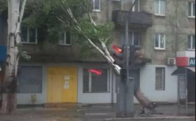Мариуполь затопило, сильный ветер повалил деревья - real-vin.com - Мариуполь - район Кальмиусский