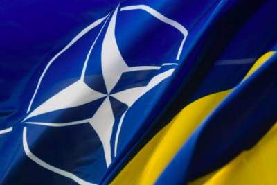 Кабмин утвердил спецплан по вступлению Украины в НАТО - rupor.info