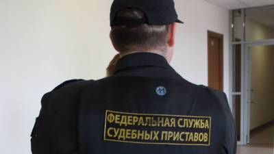 Госдума защитила от взыскания минимальный доход должников - vesti.ru
