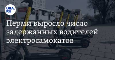 Перми выросло число задержанных водителей электросамокатов - ura.news - Пермь - Пермский край