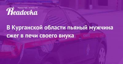 В Курганской области пьяный мужчина сжег в печи своего внука - readovka.news - Курганская обл. - Курган