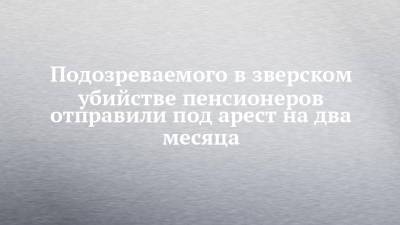 Подозреваемого в зверском убийстве пенсионеров отправили под арест на два месяца - chelny-izvest.ru - Набережные Челны - район Тукаевский