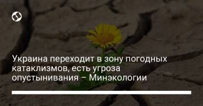 Вильям Гейтс - Украина переходит в зону погодных катаклизмов, есть угроза опустынивания – Минэкологии - liga.net