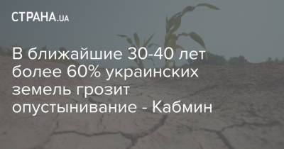 Роман Абрамовский - В ближайшие 30-40 лет более 60% украинских земель грозит опустынивание - Кабмин - strana.ua