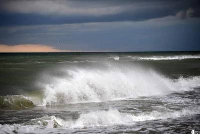 В Одессе зацвело море, купаться опасно - kp.ua - Украина - Одесса - Экология