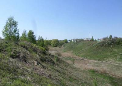 В рязанском ручье обнаружили 122-кратное превышение содержания кадмия - ya62.ru - Москва - Рязань - Экология