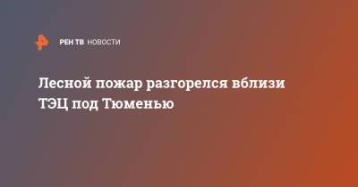 Лесной пожар разгорелся вблизи ТЭЦ под Тюменью - ren.tv - Екатеринбург - Тюмень - Тюменская обл.