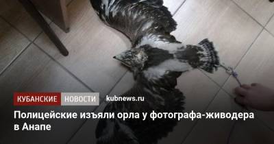 Полицейские изъяли орла у фотографа-живодера в Анапе - kubnews.ru - Анапа - Краснодарский край - респ. Карачаево-Черкесия - Витязево