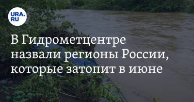 Роман Вильфанд - Галина Шепоренко - В Гидрометцентре назвали регионы России, которые затопит в июне - ura.news - Крым - Краснодарский край - респ. Ингушетия - респ. Дагестан - респ. Чечня - Ростовская обл. - Свердловская обл. - респ. Адыгея - респ. Кабардино-Балкария - респ. Карачаево-Черкесия