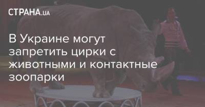 В Украине могут запретить цирки с животными и контактные зоопарки - strana.ua