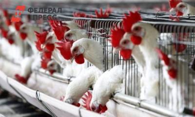 Областной суд разрешил проблему Среднеуральской птицефабрики - fedpress.ru - Екатеринбург