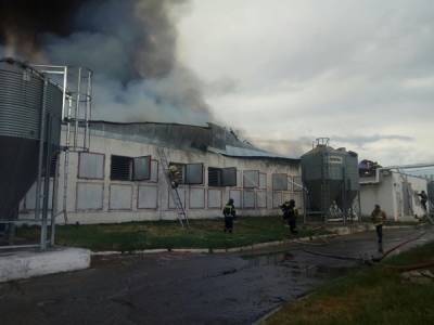 Площадь пожара на птицефабрике «Равис» составила 3,8 тыс. квадратных метров - znak.com - Челябинская обл.