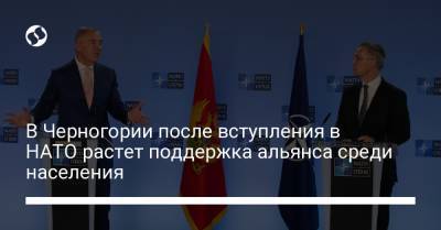 В Черногории после вступления в НАТО растет поддержка альянса среди населения - liga.net - Черногория - Словакия