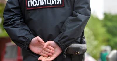 Максим Резник - В Петербурге задержали оппозиционного депутата Максима Резника - rus.delfi.lv - Санкт-Петербург - Латвия