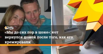 Стивен Кинг - «Мы до сих пор в шоке»: кот вернулся домой после того, как его кремировали - ridus.ru - Англия