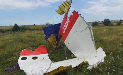 Хендрик Стейнхейс - Нидерланды не нашли украинских истребителей в небе над Донбассом во время крушения MH17 - topcor.ru - Голландия - Куала-Лумпур - Амстердам