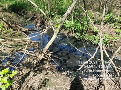 Экологи: озеро в Рязани превратилось в кисель из тяжёлых металлов и гниющей органики - 7info.ru - Рязань - Экология