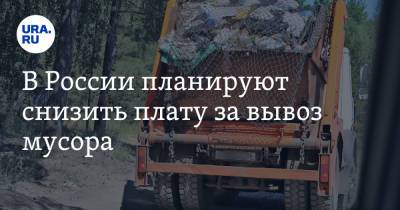 Денис Буцаев - В России планируют снизить плату за вывоз мусора - ura.news