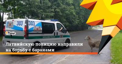 Латвийскую полицию направили на борьбу с баранами - ridus.ru - Рига - Латвия