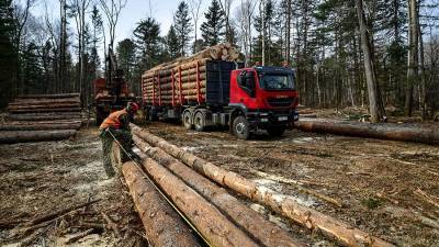 Эксперты назвали обогатившиеся в пандемию отрасли - iz.ru - Израиль