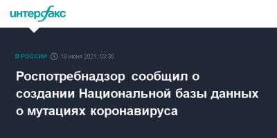 Роспотребнадзор сообщил о создании Национальной базы данных о мутациях коронавируса - interfax.ru - Москва