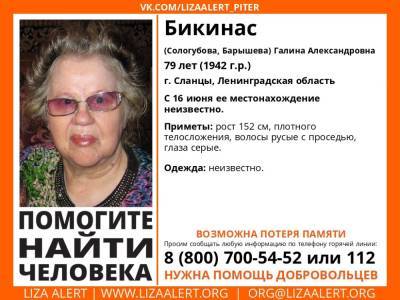 Элизабет Алерт - В Сланцах без вести пропала 79-летняя женщина с возможной потерей памяти - ivbg.ru - Ленобласть