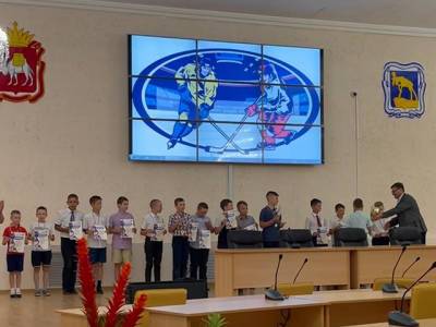 Владимир Васильев - Юные миасские хоккеисты завоевали кубок сезона - u24.ru - Челябинская обл.
