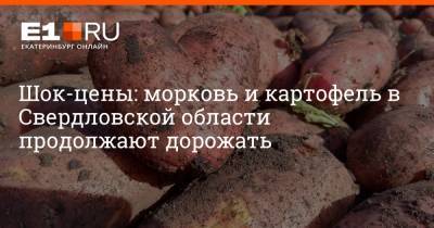 Шок-цены: морковь и картофель в Свердловской области продолжают дорожать - e1.ru - Екатеринбург - Свердловская обл.