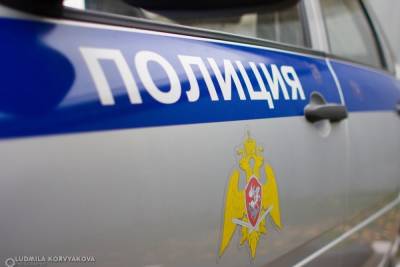 Жители Петрозаводска обратились в полицию: мужчина пытался увести чужих детей - karel.mk.ru - Петрозаводск