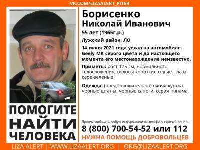 Элизабет Алерт - В Лужском районе без вести пропал 55-летний мужчина - ivbg.ru - Ленобласть