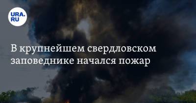 В крупнейшем свердловском заповеднике начался пожар - ura.news - Екатеринбург - Свердловская обл.