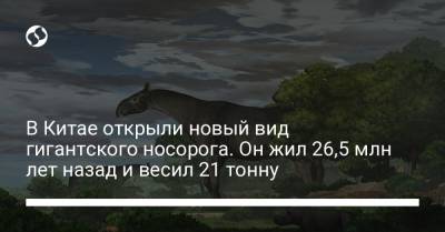 В Китае открыли новый вид гигантского носорога. Он жил 26,5 млн лет назад и весил 21 тонну - liga.net - Украина - Пакистан