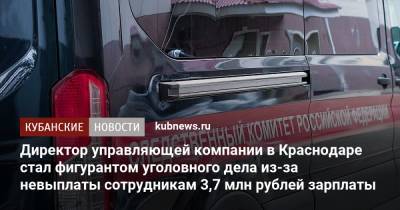 Директор управляющей компании в Краснодаре стал фигурантом уголовного дела из-за невыплаты сотрудникам 3,7 млн рублей зарплаты - kubnews.ru - Краснодарский край - Краснодар - Следственный Комитет