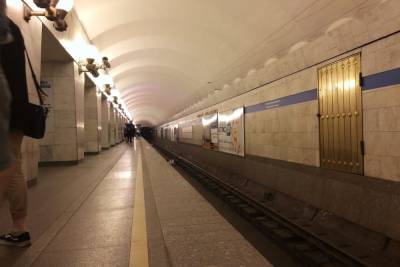 В Петербурге возобновят проектирование «коричневой» ветки метро - spb.mk.ru - Москва - Санкт-Петербург - окр.Сзфо