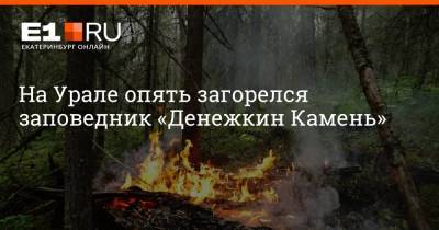 На Урале опять загорелся заповедник «Денежкин Камень» - e1.ru - Екатеринбург