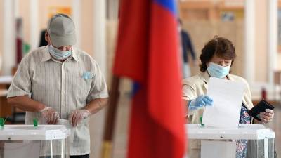 Дмитрий Песков - В Кремле оценили возможность проведения выборов в условиях пандемии - iz.ru