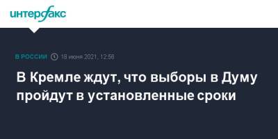 Владимир Путин - Дмитрий Песков - В Кремле ждут, что выборы в Думу пройдут в установленные сроки - interfax.ru - Москва