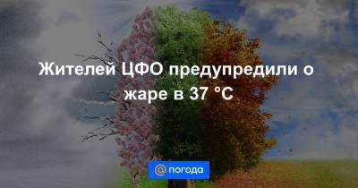 Роман Вильфанд - Жителей ЦФО предупредили о жаре в 37 °C - news.mail.ru - Москва - Орловская обл. - ЦФО - Белгородская обл. - Воронежская обл. - Курская обл. - Тамбовская обл. - Липецкая обл.