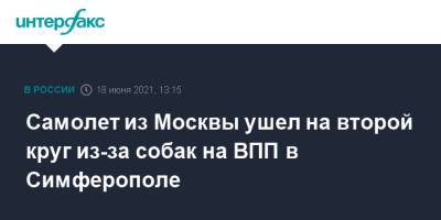 Самолет из Москвы ушел на второй круг из-за собак на ВПП в Симферополе - interfax.ru - Москва - Крым - Симферополь
