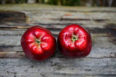 USDA прогнозирует падение производства яблок в мире: названа причина - agroportal.ua