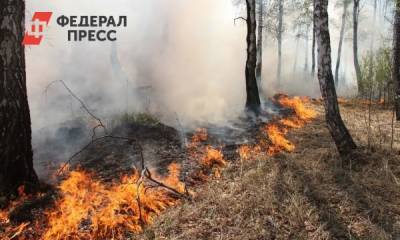 Александр Моор - Тюменцам продлили запрет на посещение лесов еще на месяц - fedpress.ru - Тюмень - Тюменская обл.