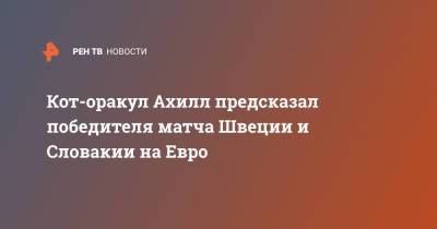 На Евро - Кот-оракул Ахилл предсказал победителя матча Швеции и Словакии на Евро - ren.tv - Санкт-Петербург - Швеция - Финляндия - Словакия