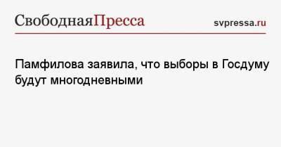 Элла Памфилова - Памфилова заявила, что выборы в Госдуму будут многодневными - svpressa.ru